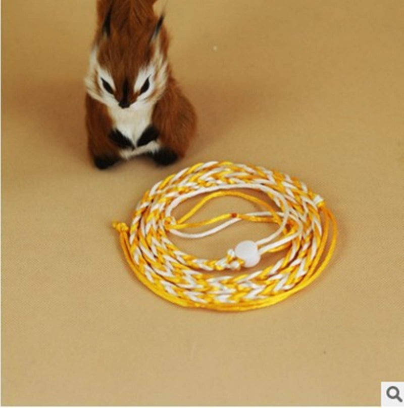 Zittop 1PC Small Animal Leash Lead Harness Rope Hamster Rat Mouse Adjustable Rope - Image 5